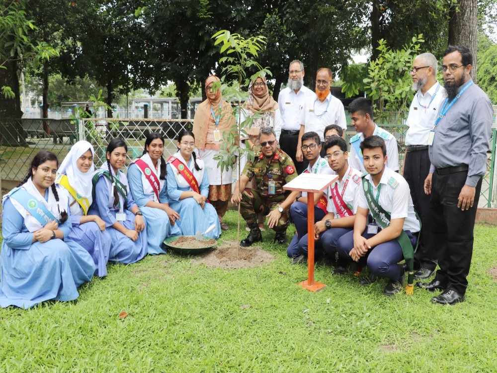 Tree Plantation-2025