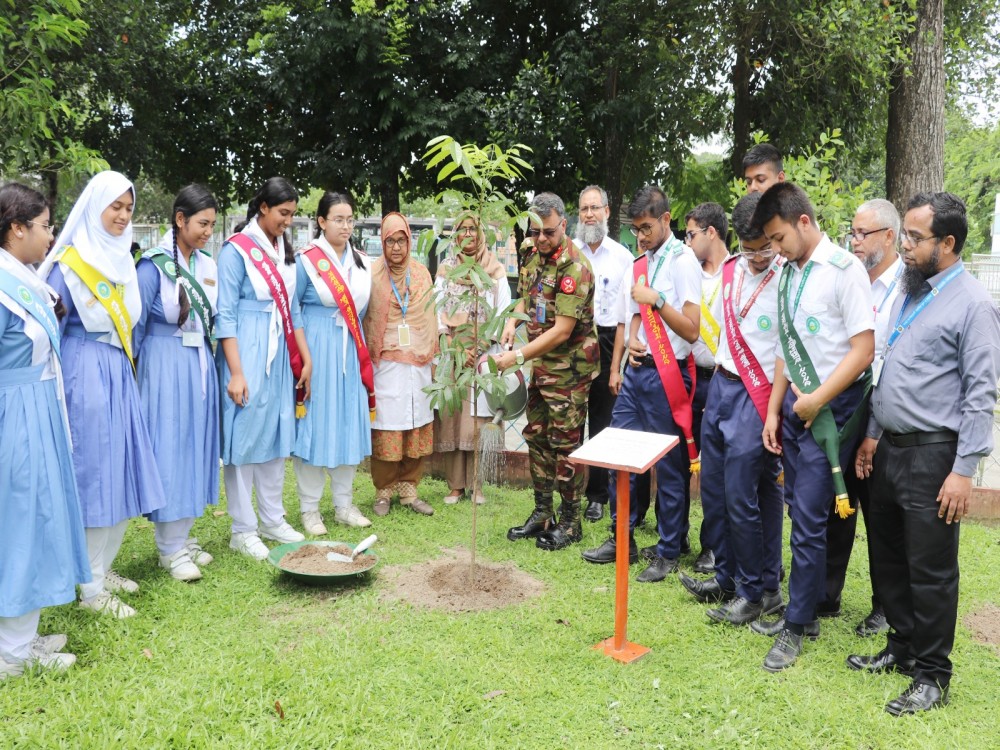 Tree Plantation-2025
