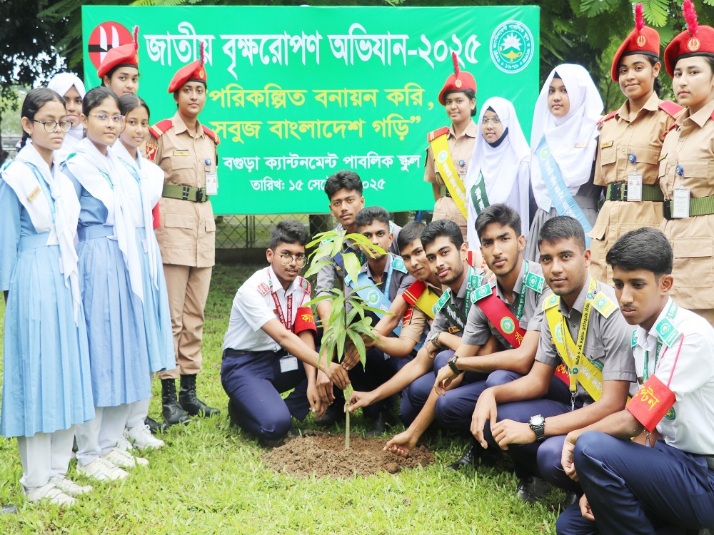 Tree Plantation ‍september-2025